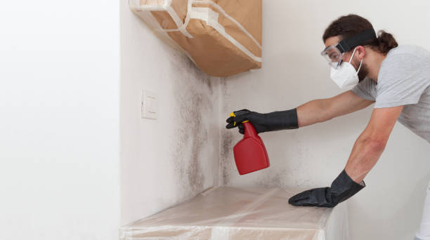 Professional Crawl Space Mold Remediation technician working in West Babylon, NY